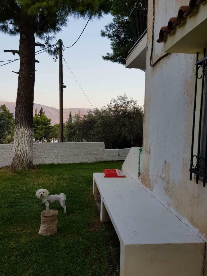 Villa Галаксиди Экстерьер фото